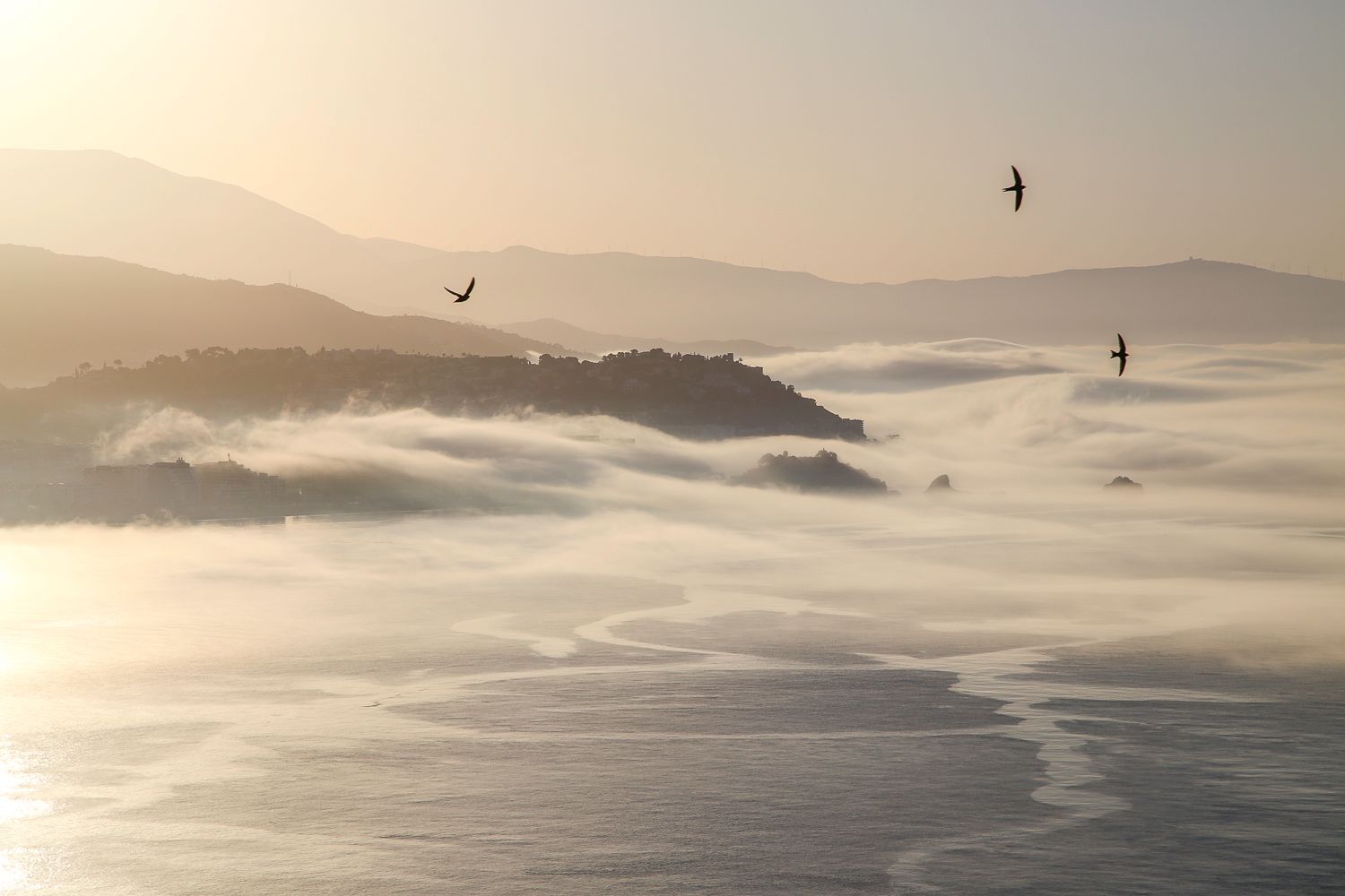 La Herradura: https://walleni.us/