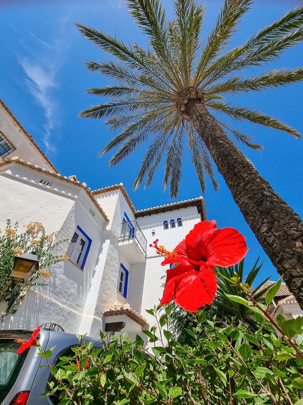 La Herradura: https://walleni.us/