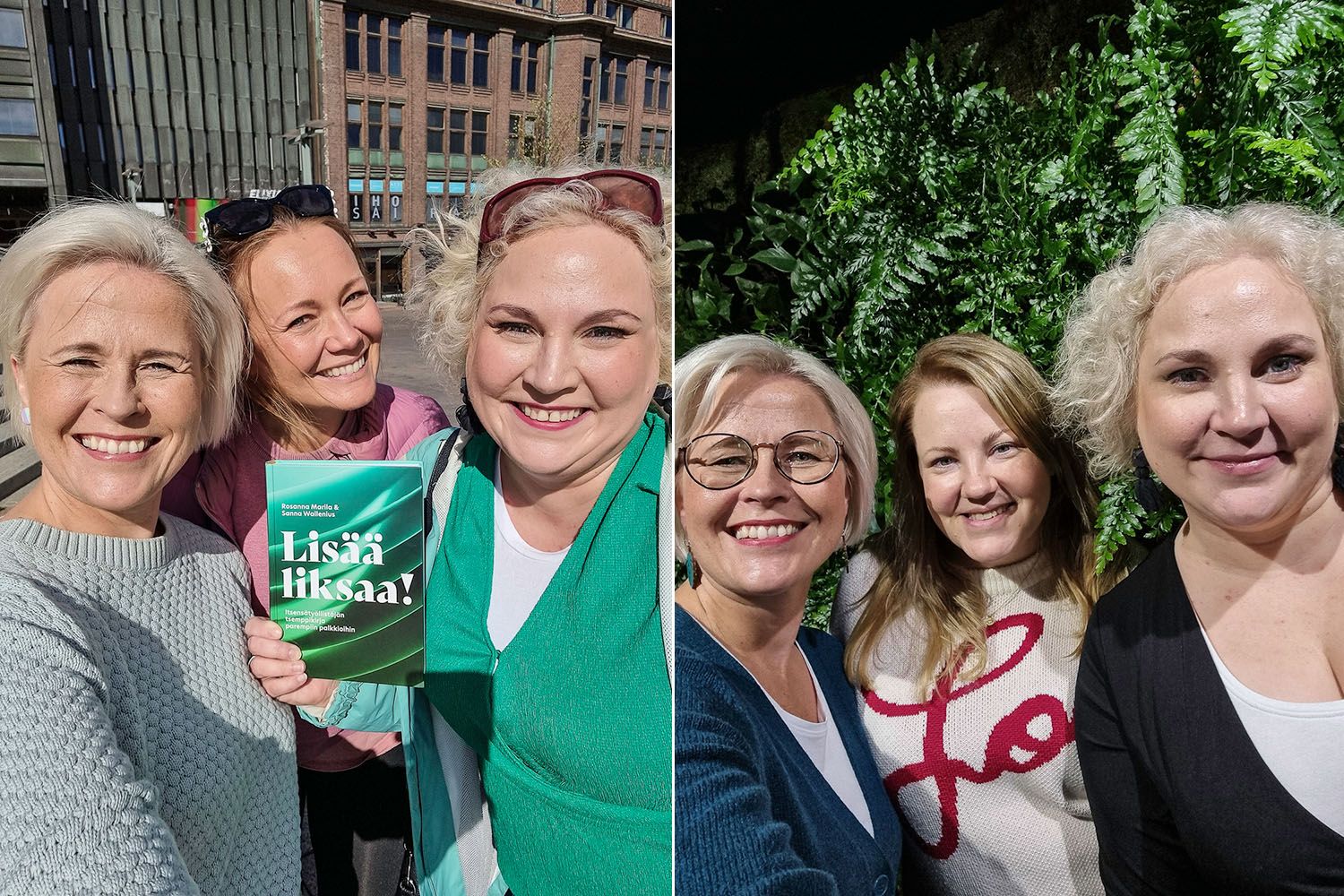 Lisää liksaa! - itsensätyöllistäjän tsemppikirja parempiin palkkioihin. Tilaa kirja täältä: https://shop.almatalent.fi/sivu/tuote/lisaa-liksaa-/4191204