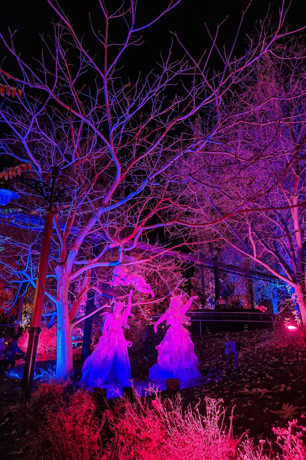 Lintsin valokarnevaali. Kuva: Sanna Wallenius https://walleni.us/