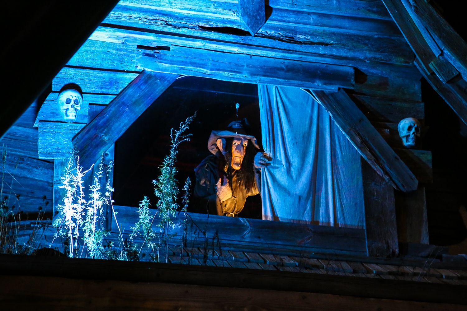 Lintsin valokarnevaali. Kuva: Sanna Wallenius https://walleni.us/