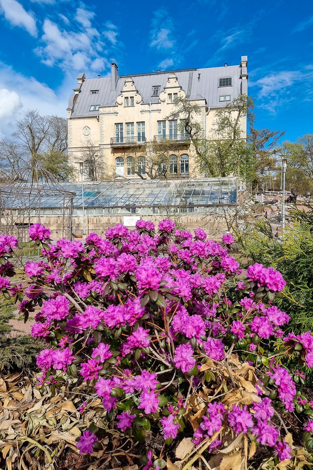 Aamuretki Ranskaan... eikun Helsinkiin