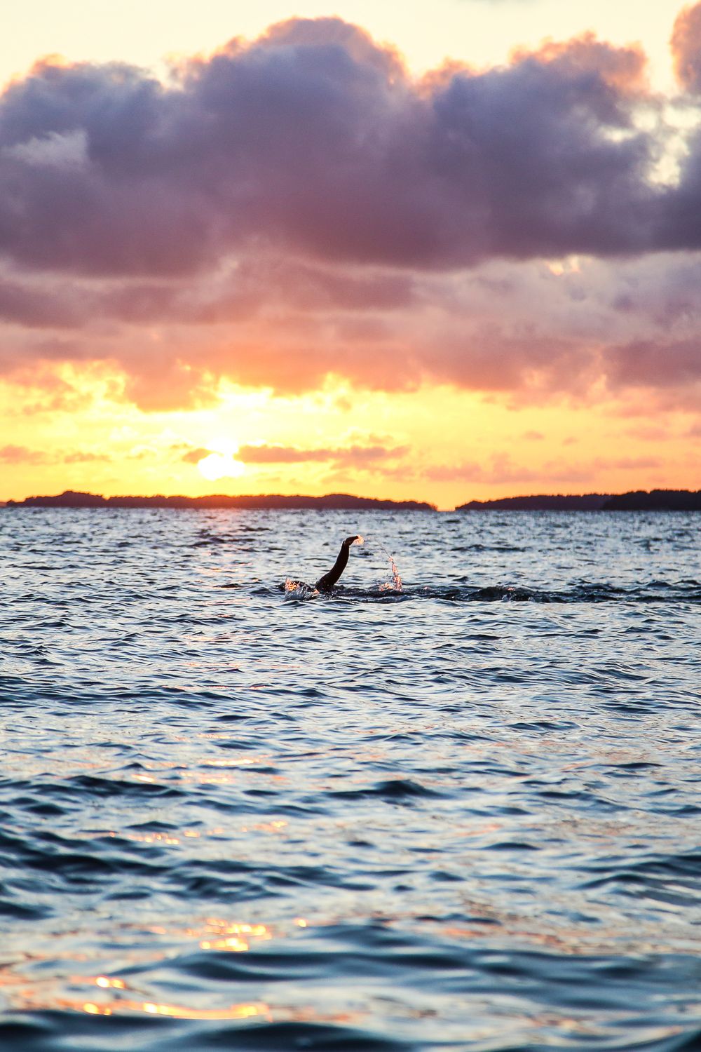 Ajattelitko uupua tänä syksynä?