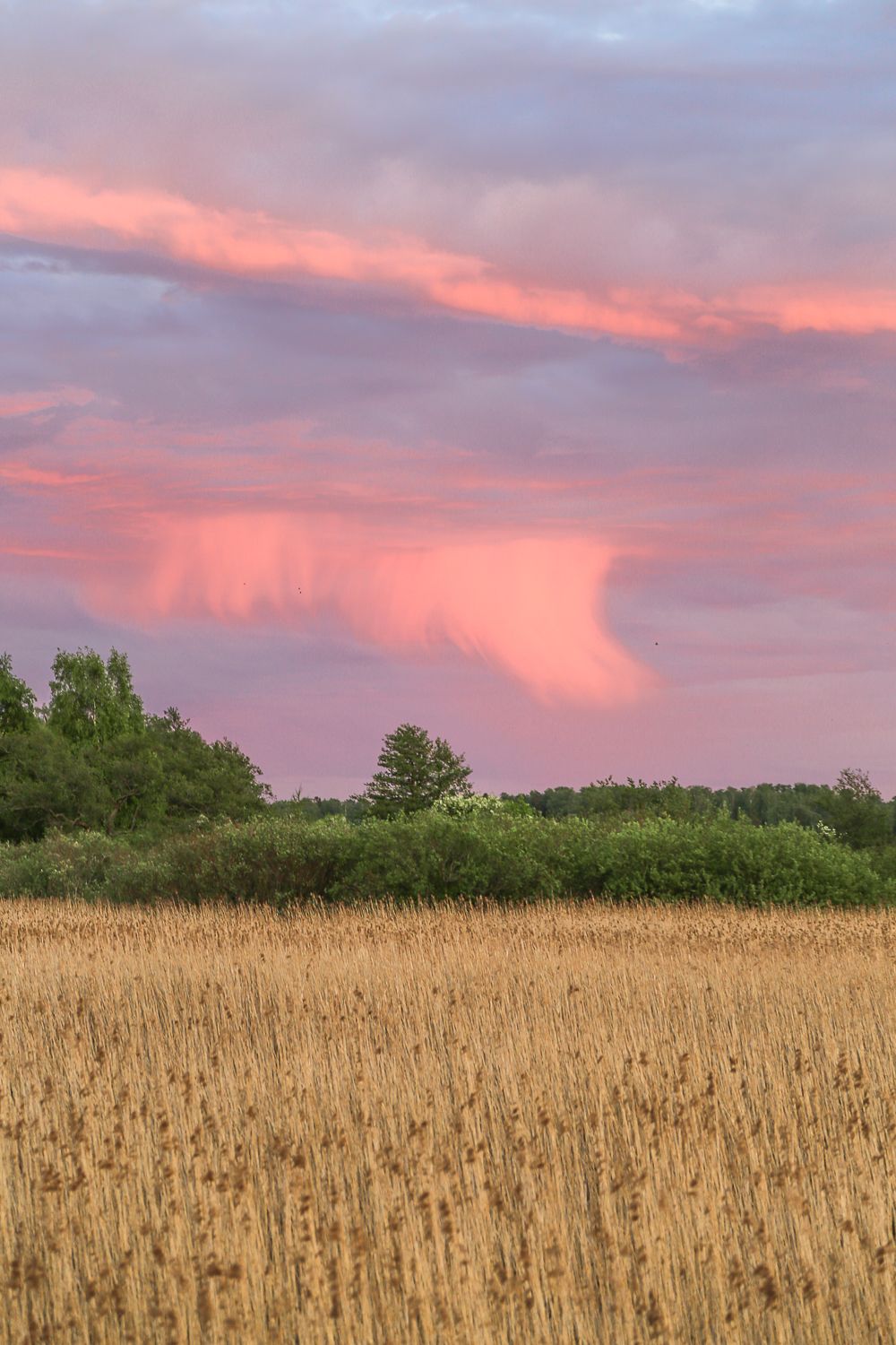 Helsingin lumoava Lammassaari