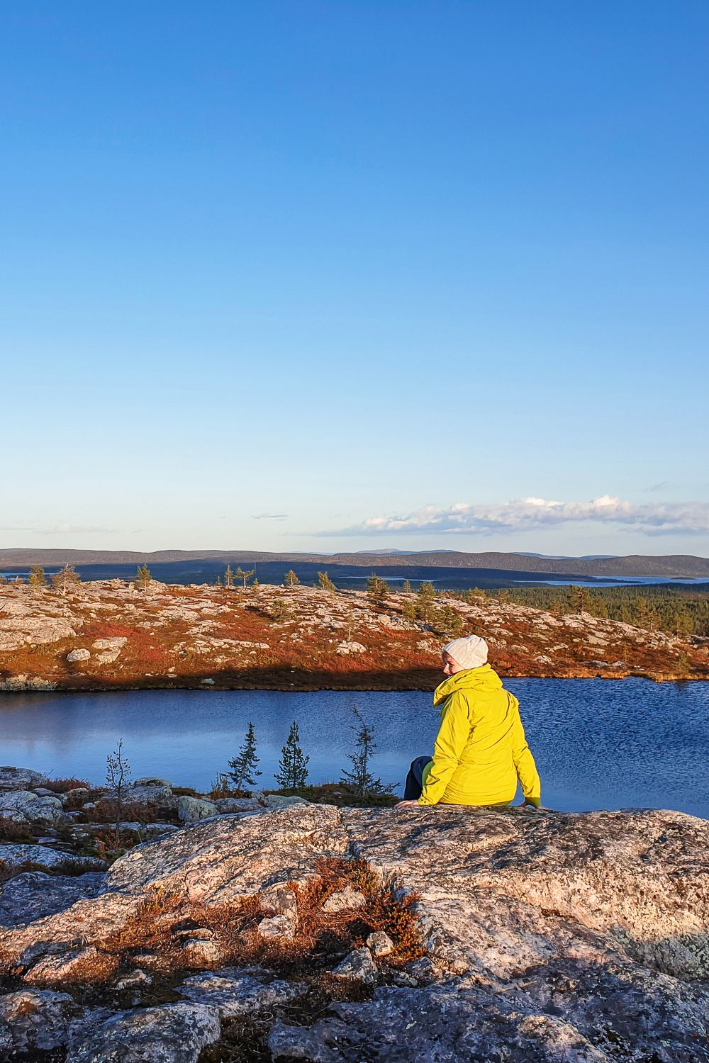 Hullu vuosi 2020: karkkilakko, yllätykset, pettymykset ja rakastuminen