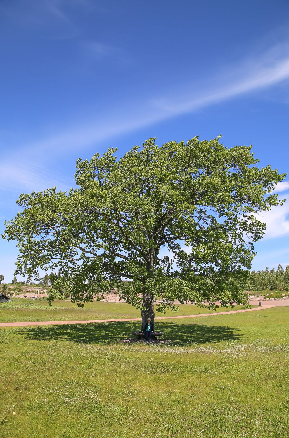 Kotkan kauneimmat puistot: tässä 3 suosikkiani