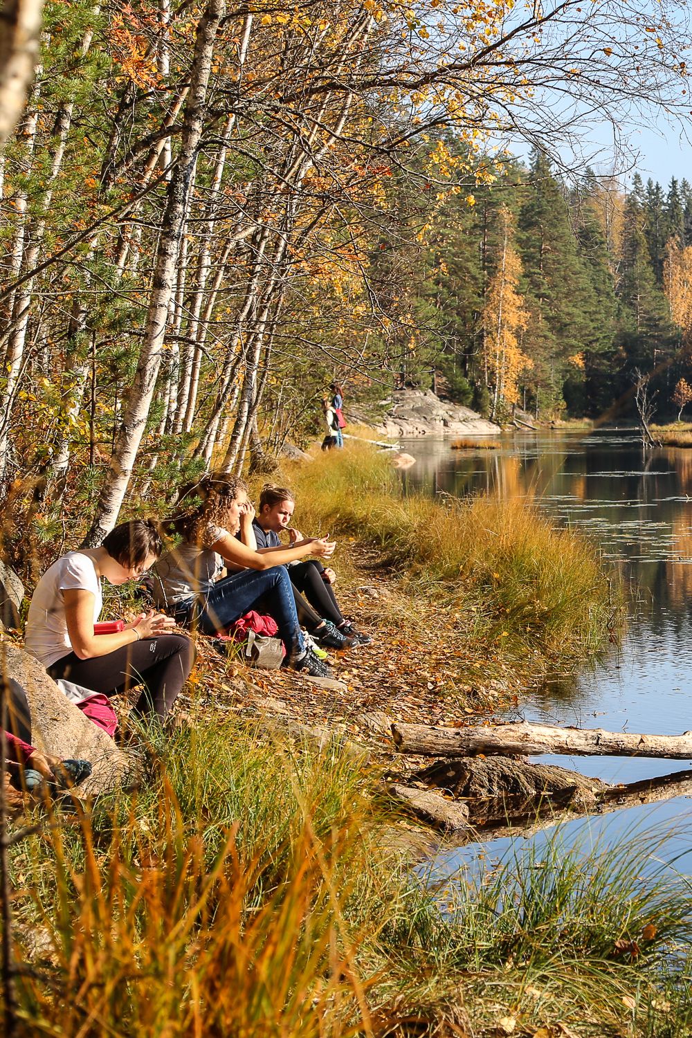 Kun metsään piti jonottaa