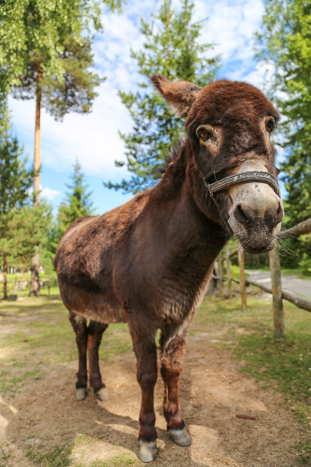 Lapsiperheen parhaat taukopaikat Tampere-Jyväskylä-Kuopio-reitillä