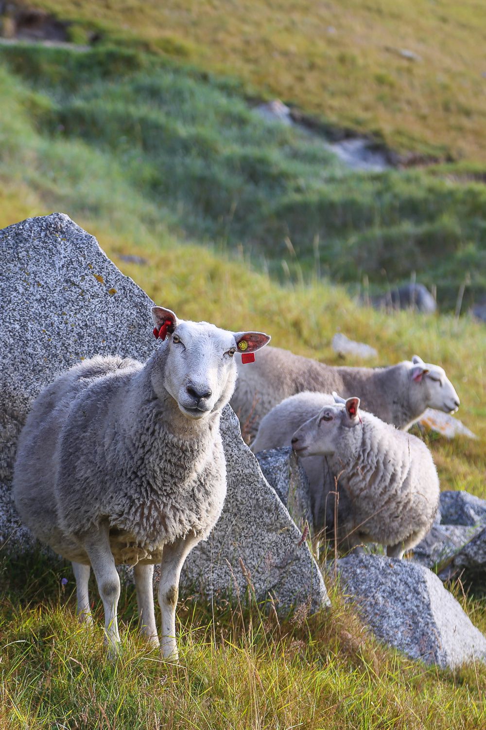 Miksi toiset saavat aina enemmän?