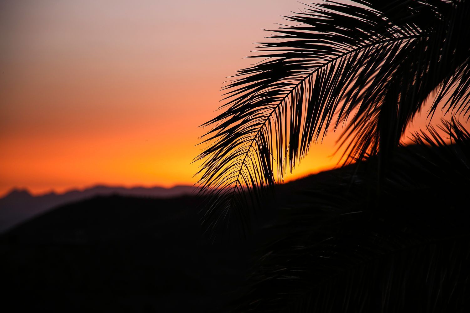 Onko tulevana talvena varaa matkustaa?