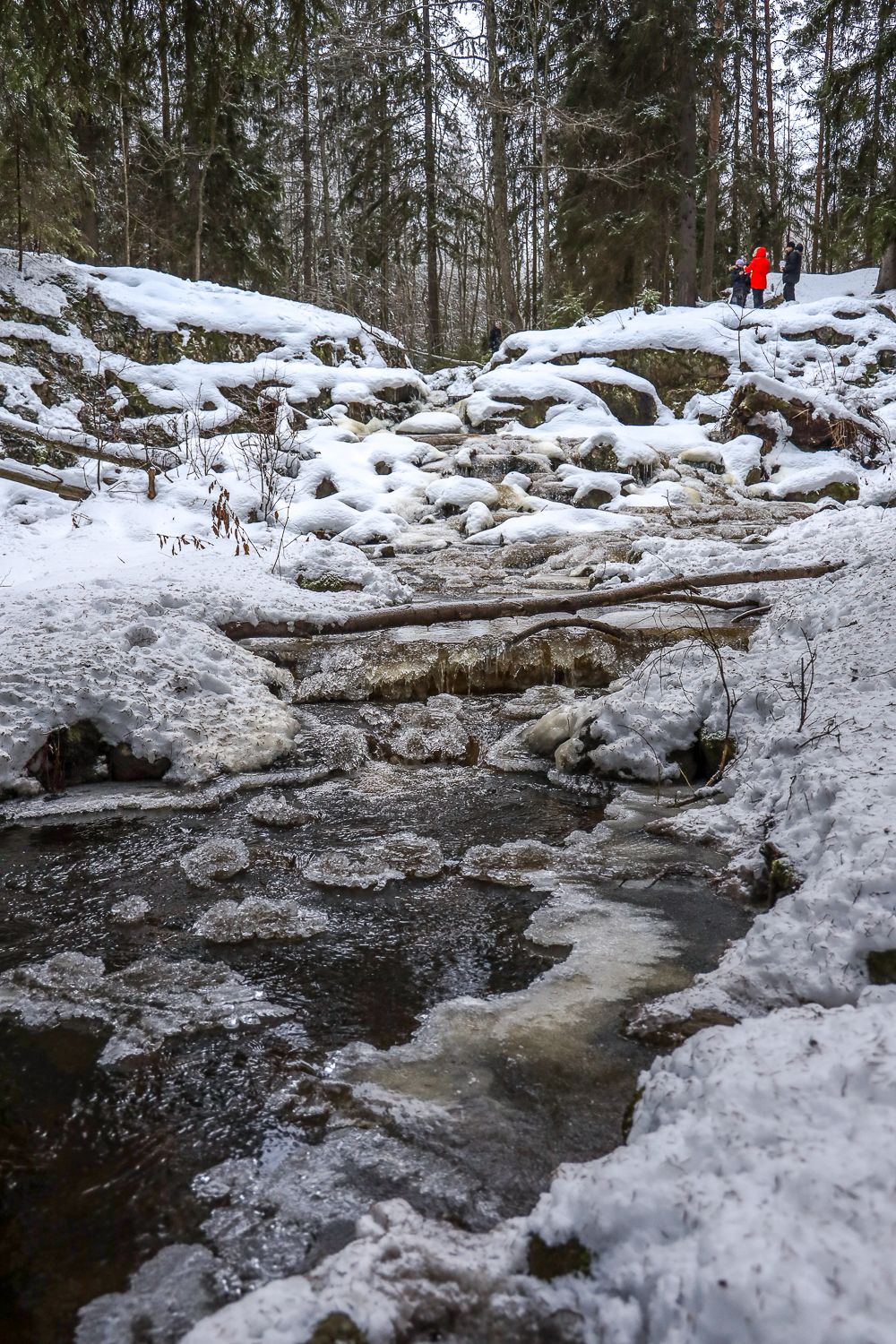 Vantaan lumoava satumetsä – tätä paikkaa ei moni tiedä