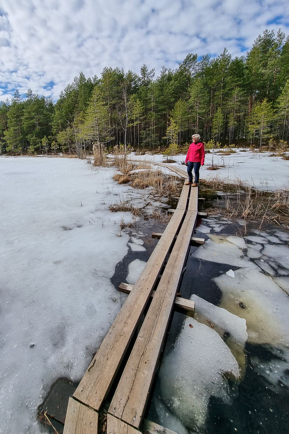 Pääsiäisen aamuretki: Sipoonkorven eteläosan parhaat palat