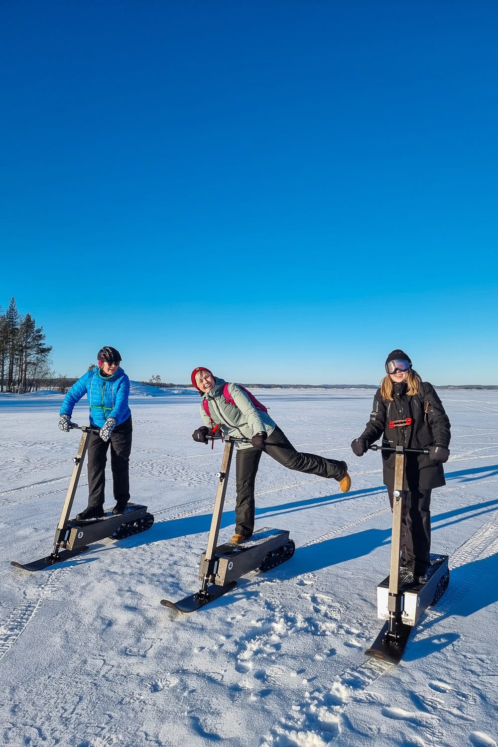 Talviretki Puumalaan – pesäkinosten kolausta norpille ja löylyt jääsaunassa
