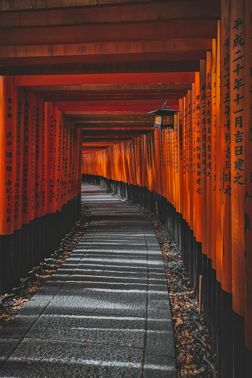 Japanin matka lähestyy: tässä reitti, majoitukset ja kohteet