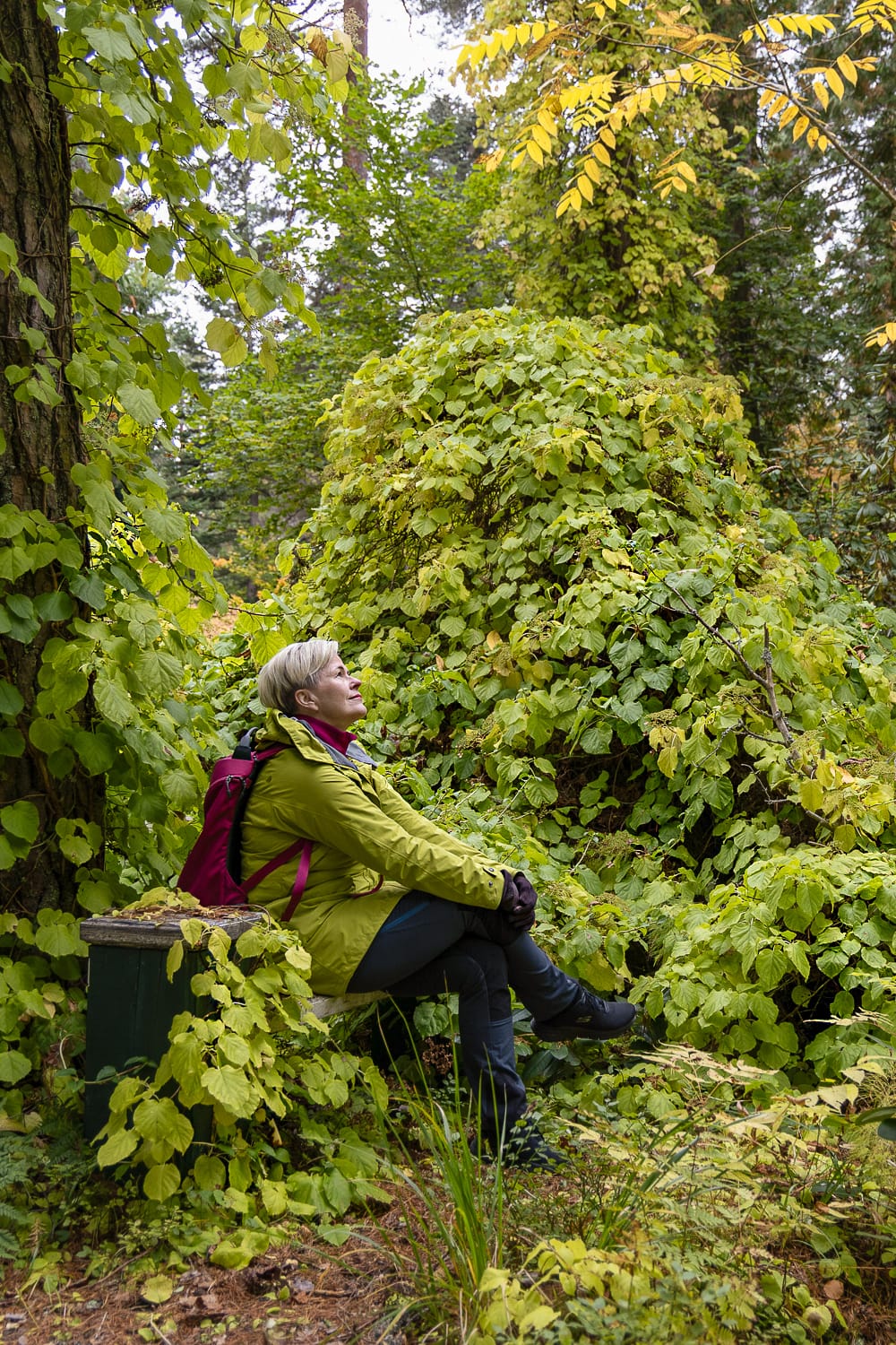 Syysretki Kouvolaan – arvasitko, että perillä näyttäisi tältä?