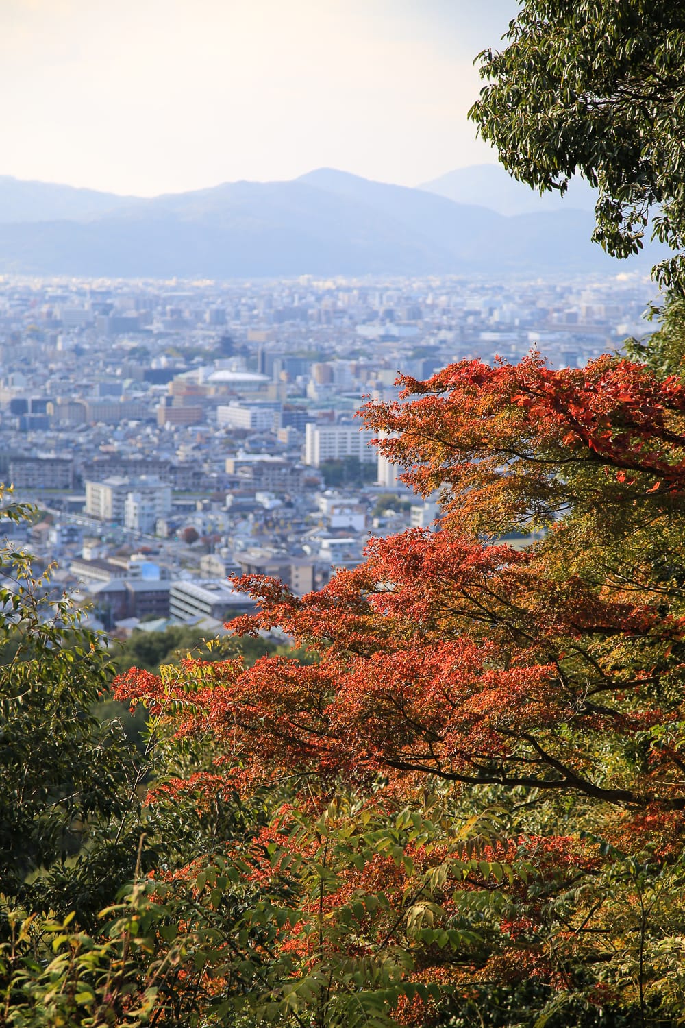 Ensimmäistä kertaa Japanissa – tämä yllätti!