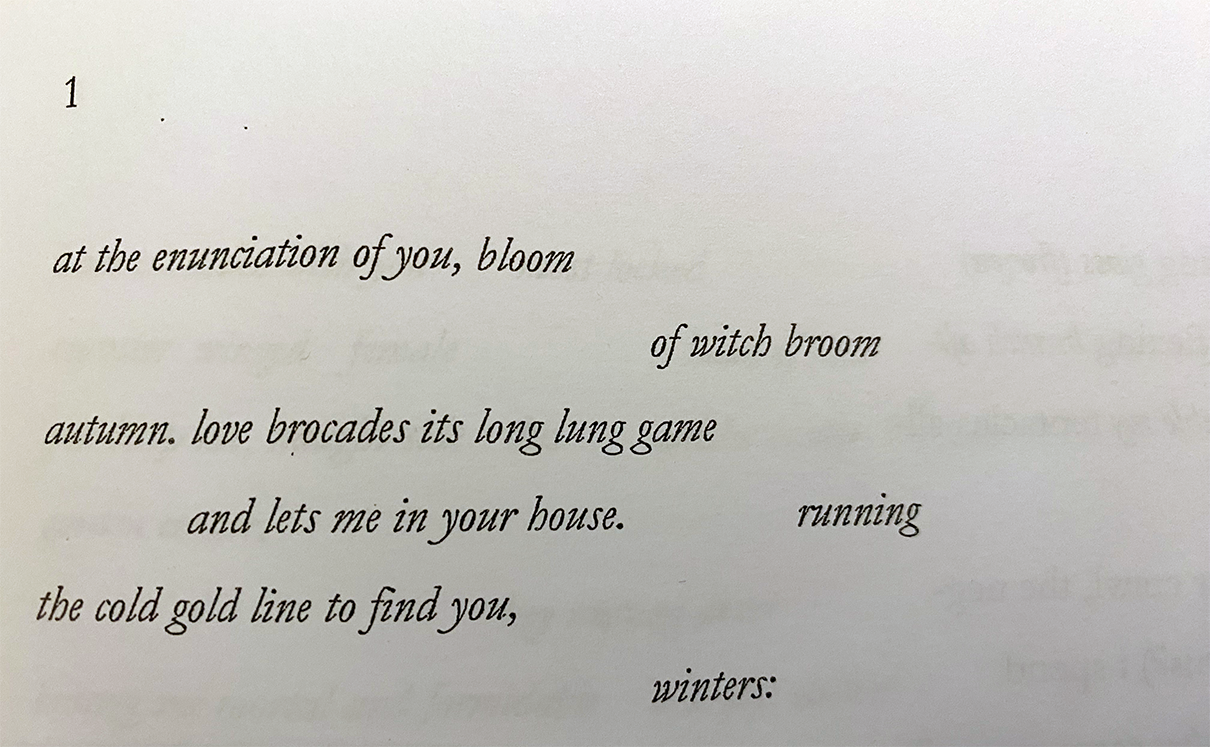 First four-or-six lines of Sarah Burgoyne's Tentaculum Sonnets, text below.