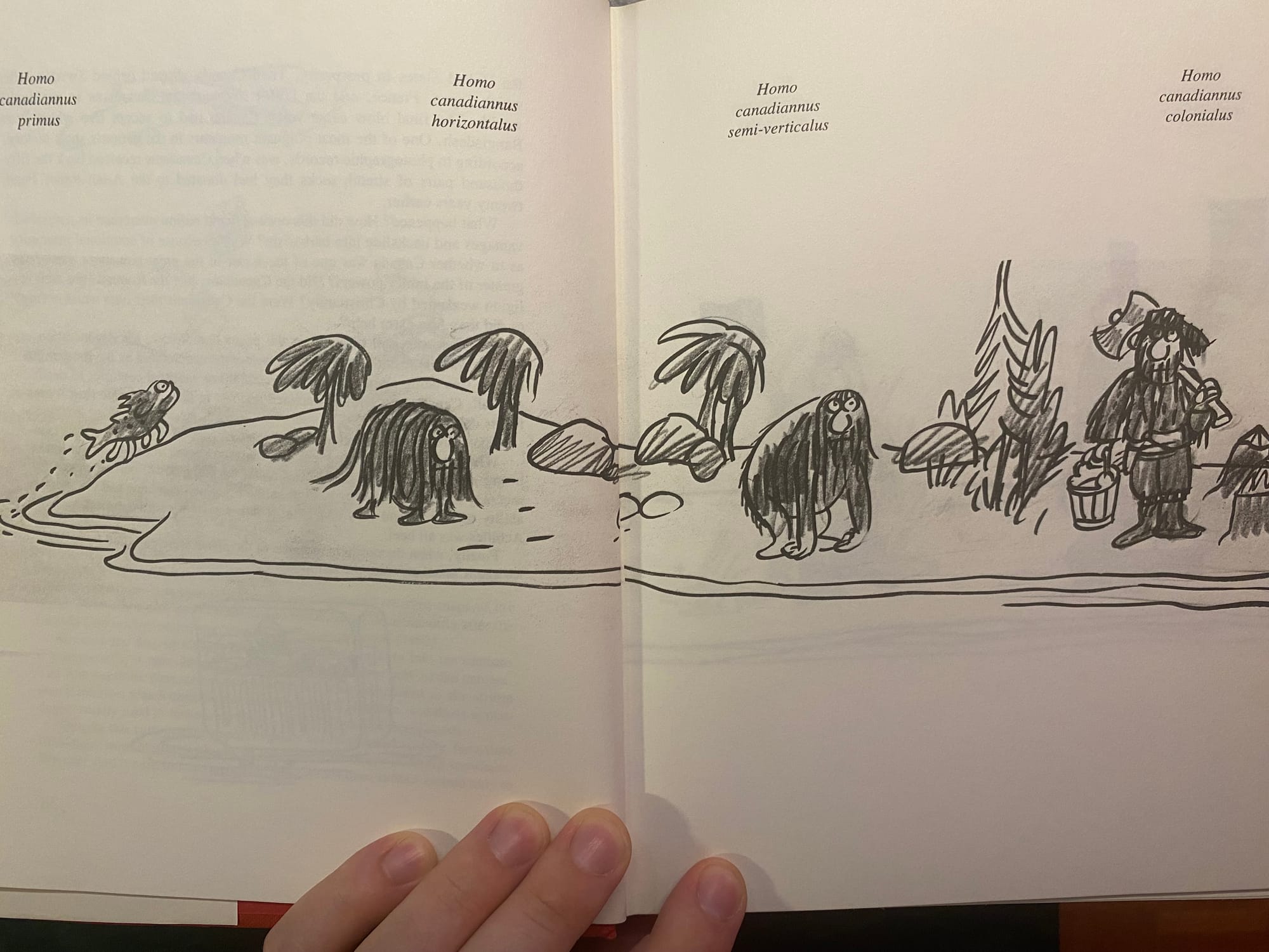 Homo canadiannus (first of three, including Primus, a fish with legs, and Colonialus, a coureur-de-bois type)