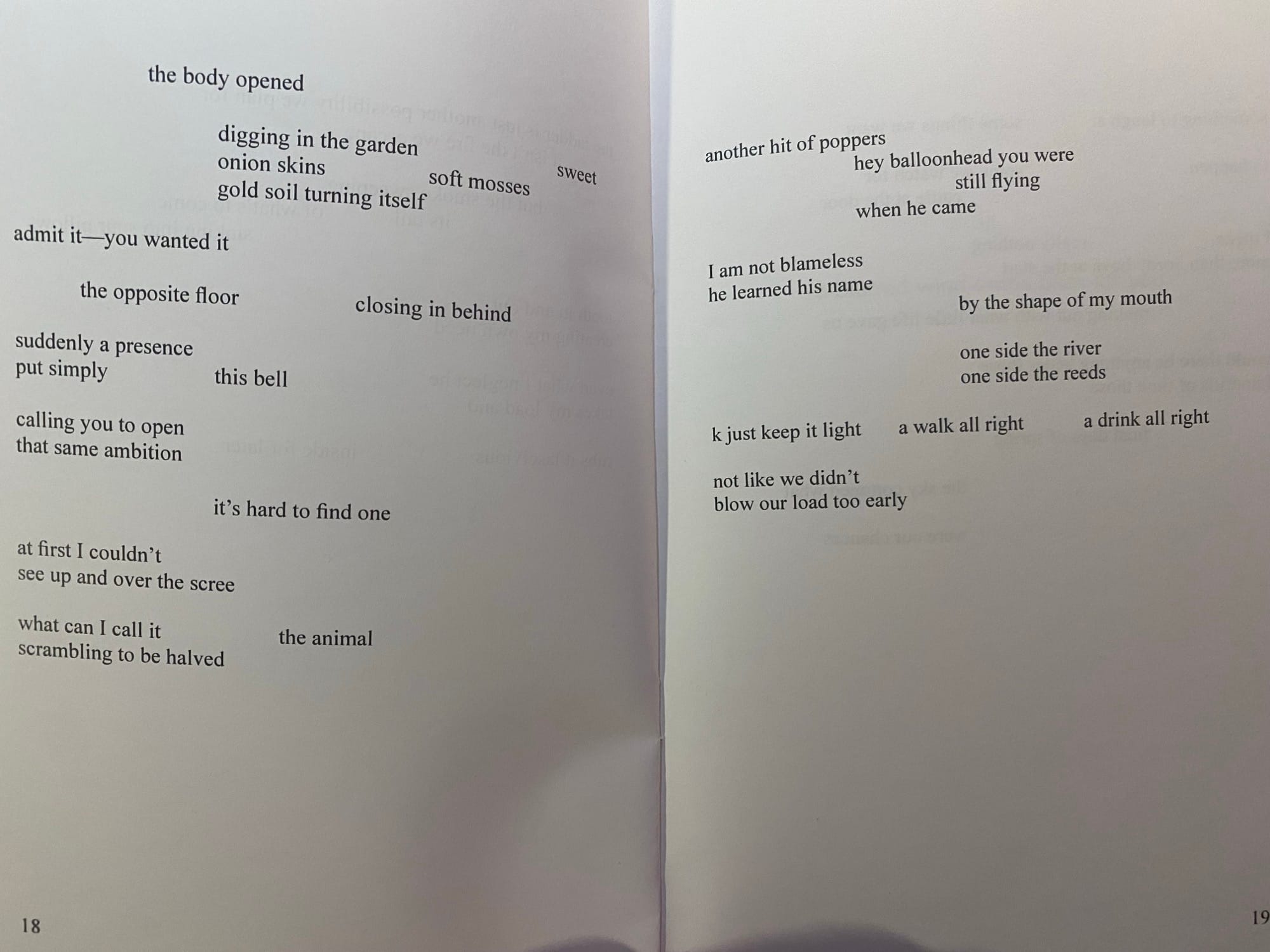 A spread-eagle view of Patrick Grace's chapbook, pages 18-19; excerpts quoted below.