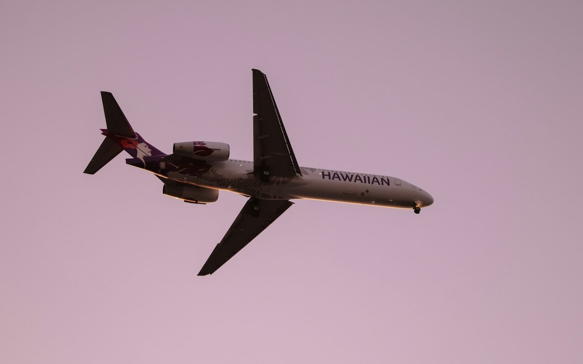 Hawaiian Airlines FY2024 Financial Results: Challenges and Investments Amid Industry Turbulence