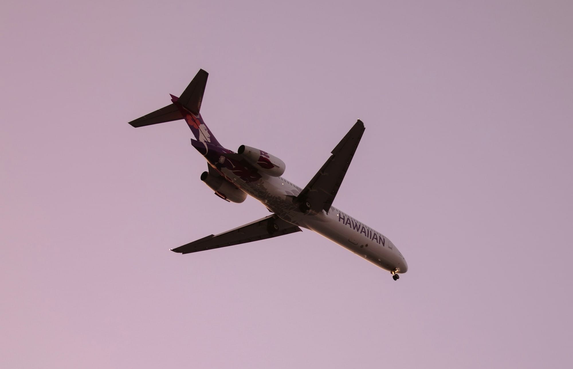 Hawaiian Airlines Q1 2025 Financial Results: Integration Drives Revenue Growth, Losses Narrow