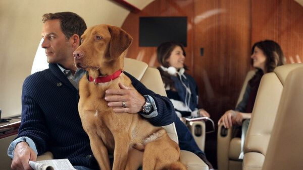 Eclipse Air Charter Introduces Innovative Air Share Membership Program for Private Flyers