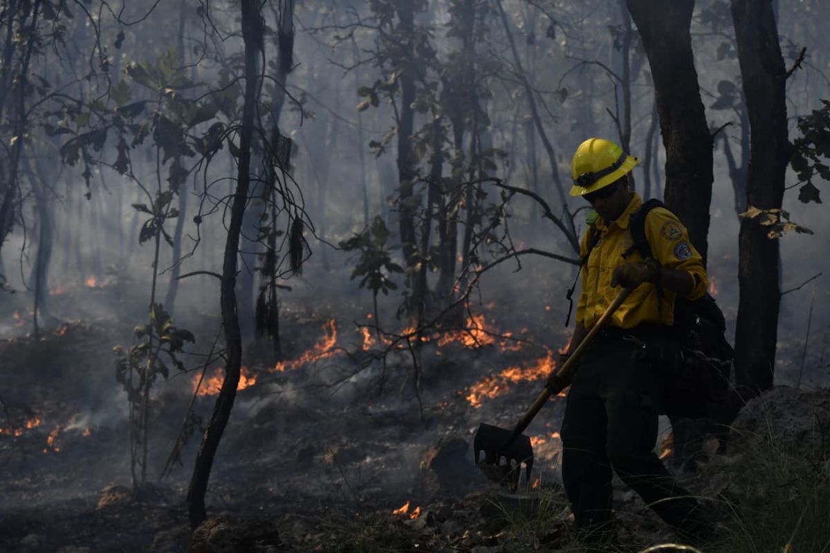 Realizan primera quema controlada frente al Estadio Akron