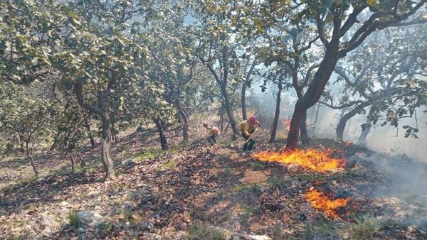 Sigue estas recomendaciones para prevenir incendios forestales