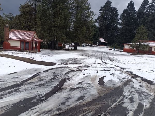 Recomendaciones preventivas para visitantes del Parque Nacional Nevado de Colima