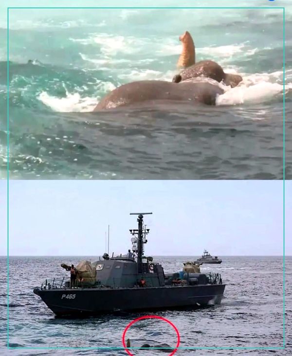 Five miles off the coast of Sri Lanka...