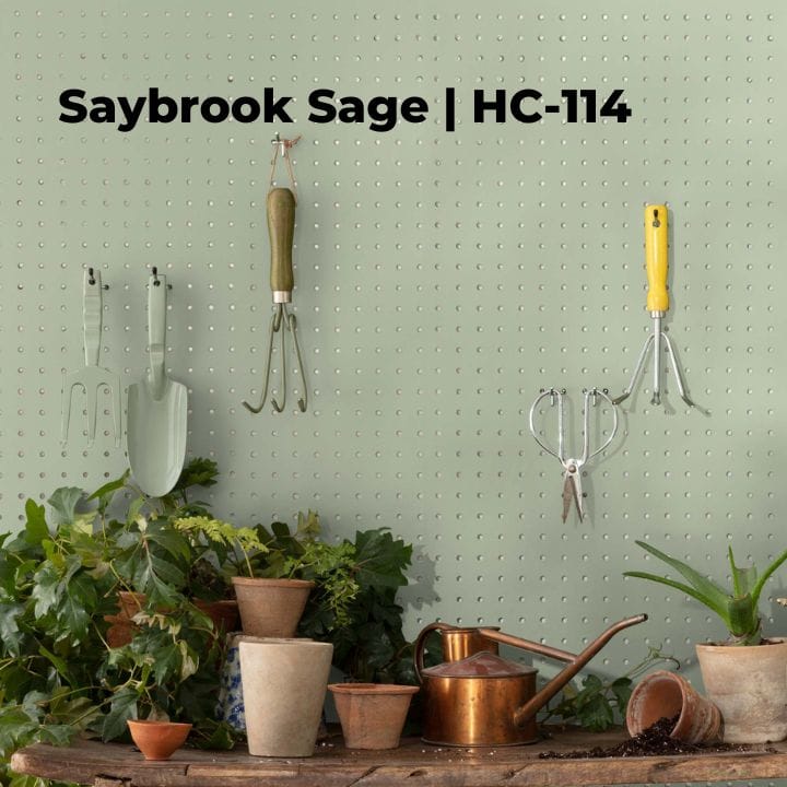Benjamin Moore Saybrook Sage paint color