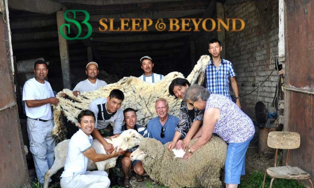 Sleep and Beyond Feature Image 