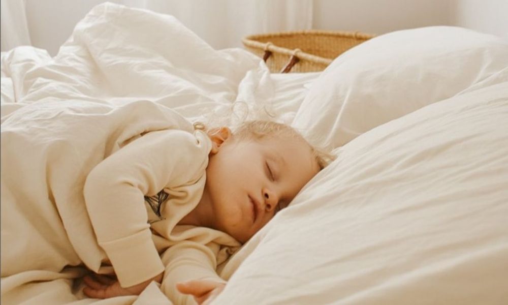 Zero Waste Store and Products for Healthier Lifestyles