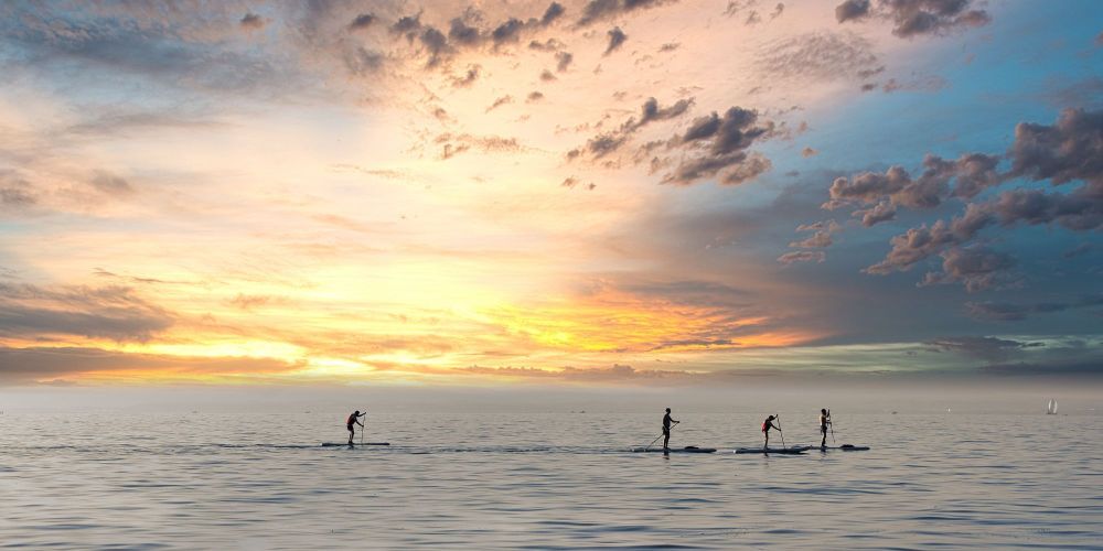 Four Paddleboarders at Sunset