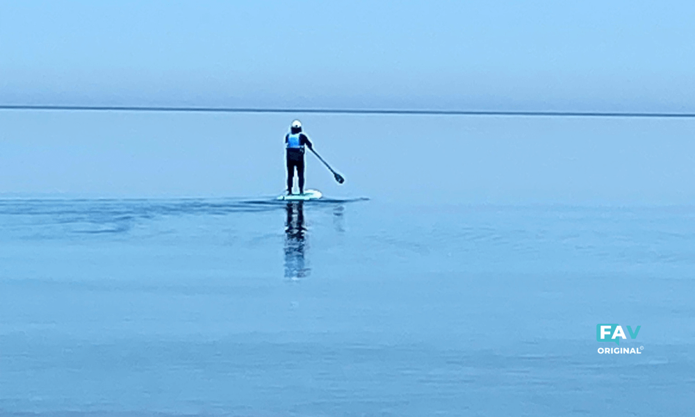 Are paddle boards worth the money