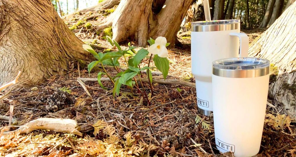 White YETI Tumblers and White Trilliums