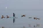 Deborah Clarke, author with FAV Reviews paddleboarding on Lake Huron with flock of geese flying by - for real. NOT AI!