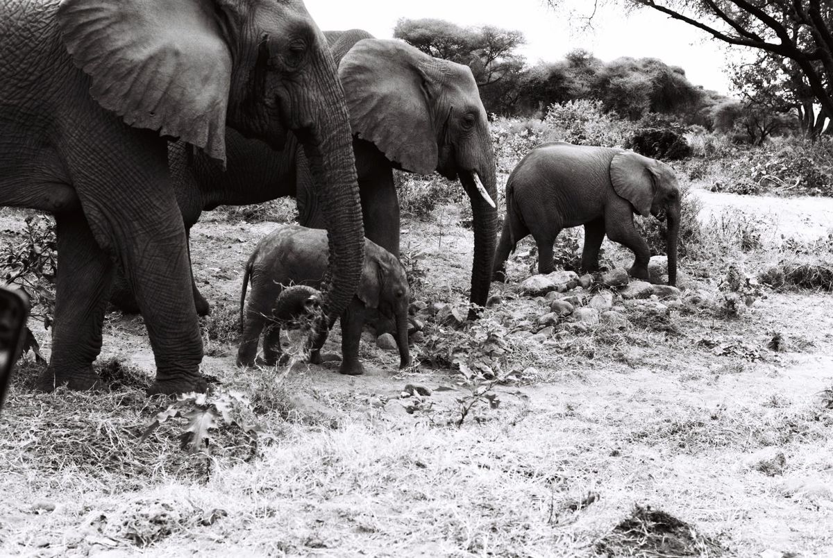 Tanzania