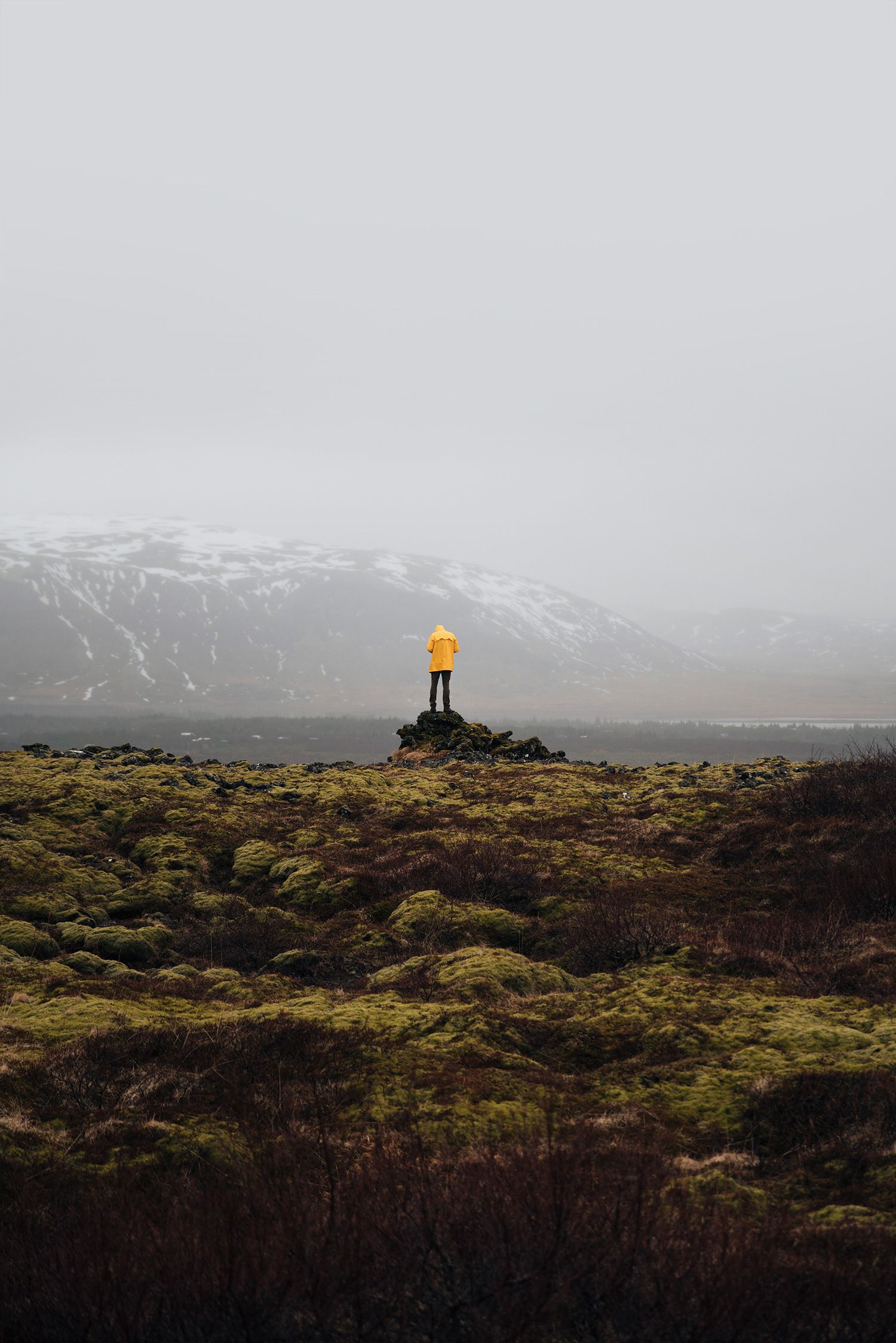 24mm_1