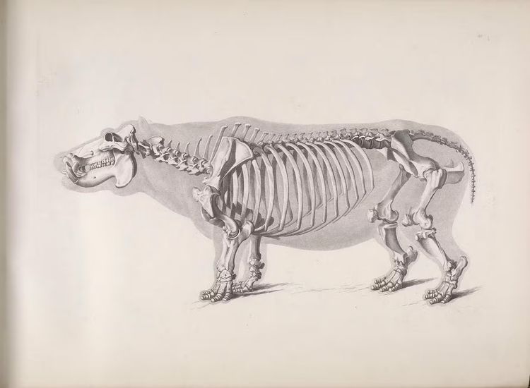 Apt Horror and the Weight of Other Things