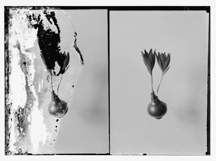 All We Gave Up, All We Have Left (or Back to Paradise)