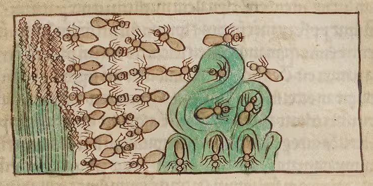 Ant Mill