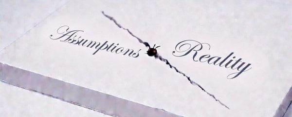 Assumptions: The Root of All Bugs