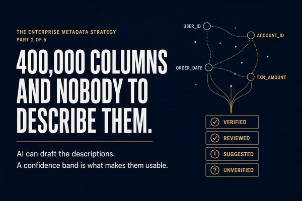 400,000 Columns and Nobody to Describe Them