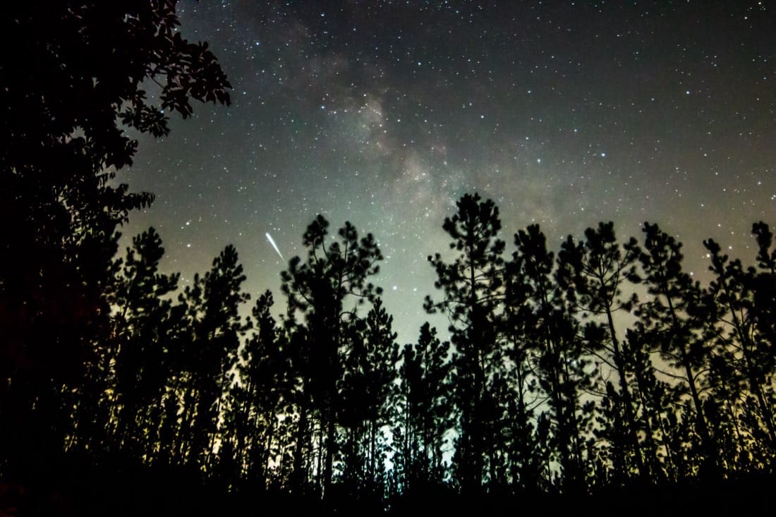 The Milky Way arching over a dark, silent forest, illustrating the dark forest theory