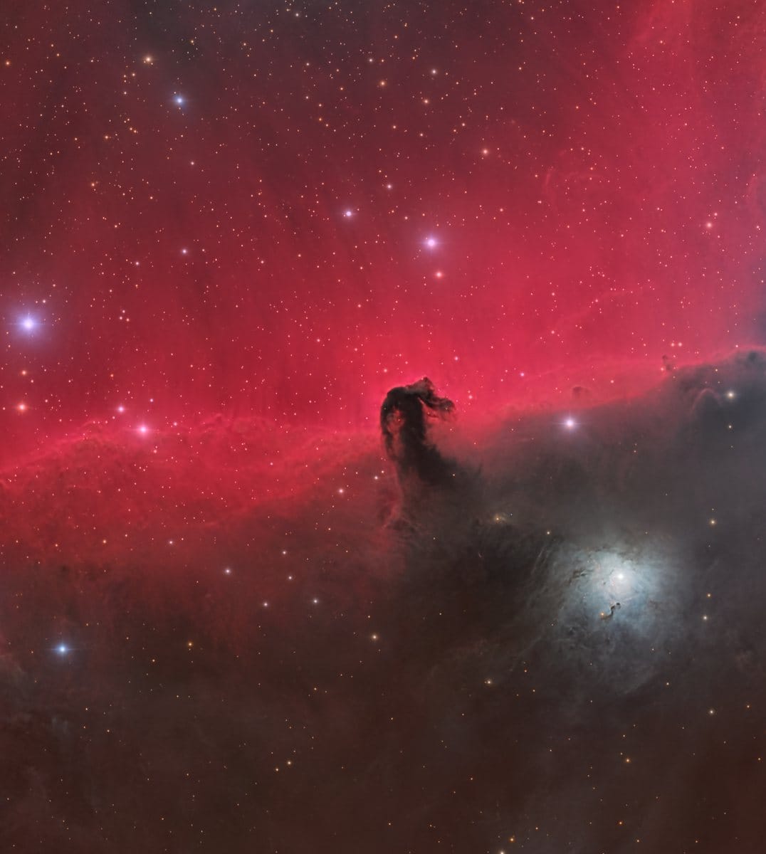 The Horsehead Nebula (Barnard 33) as a dark horse-shaped cloud silhouetted against glowing red hydrogen in the emission nebula IC 434