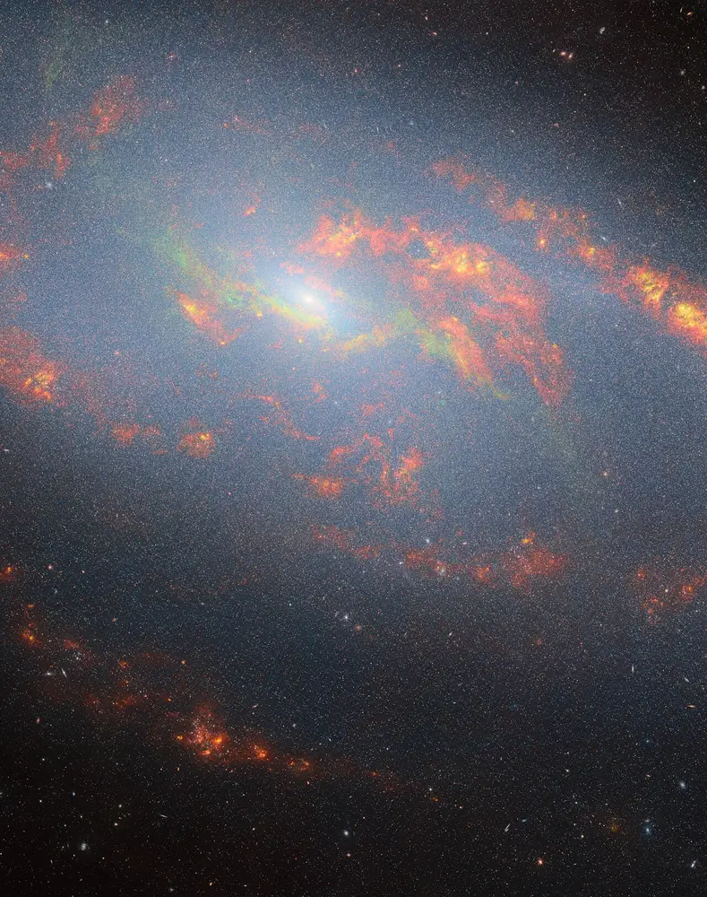 JWST infrared view of the Messier 106 galactic core