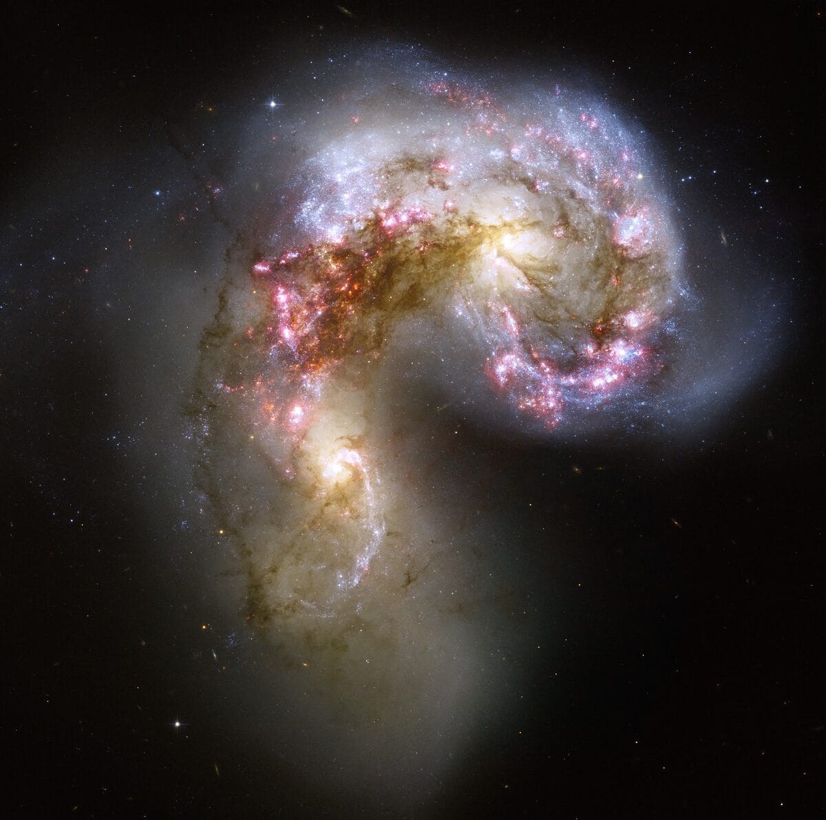 Peculiar galaxies — the colliding Antennae Galaxies with tidal tails