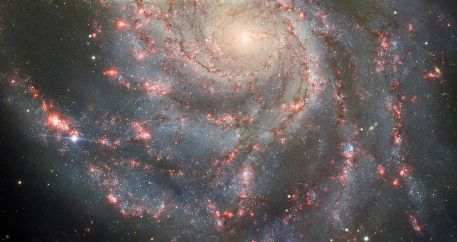 Supernova SN 2023ixf shining in the spiral arm of the Pinwheel Galaxy M101