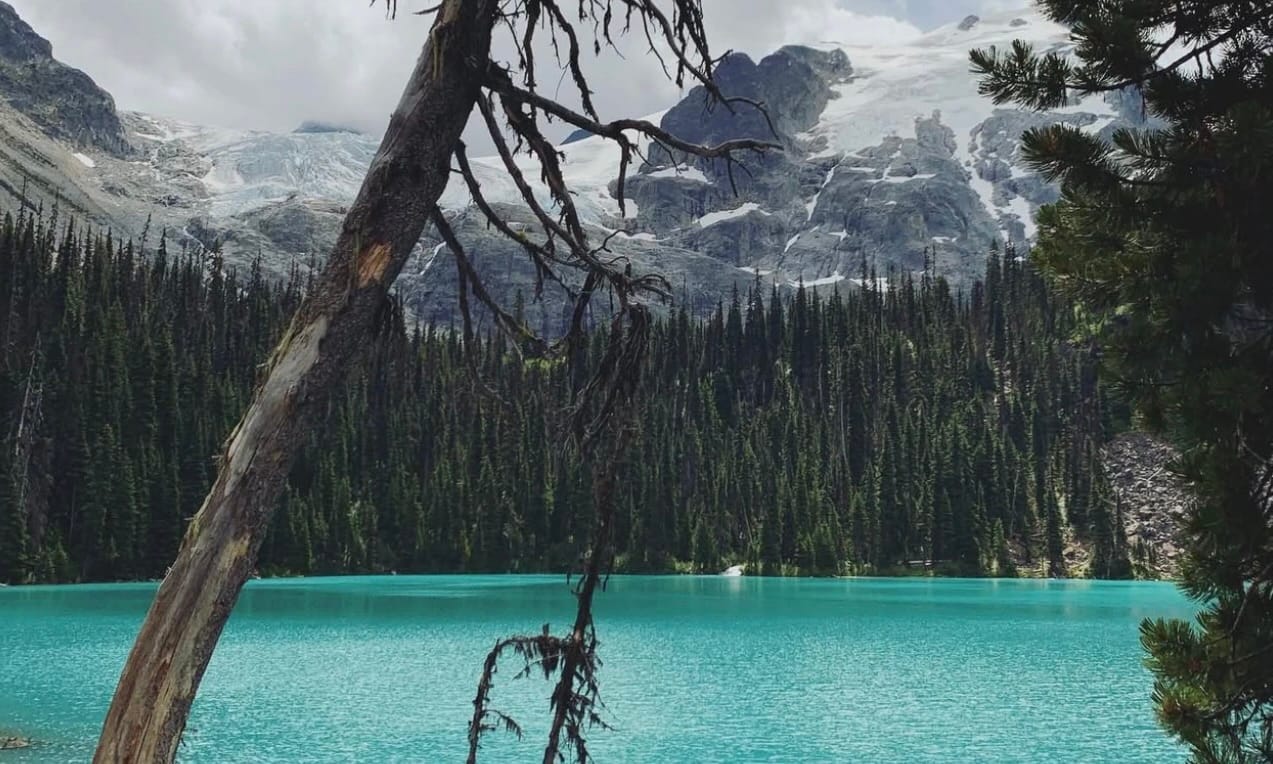 Popular BC park temporarily closing so First Nations can 'connect with the land'